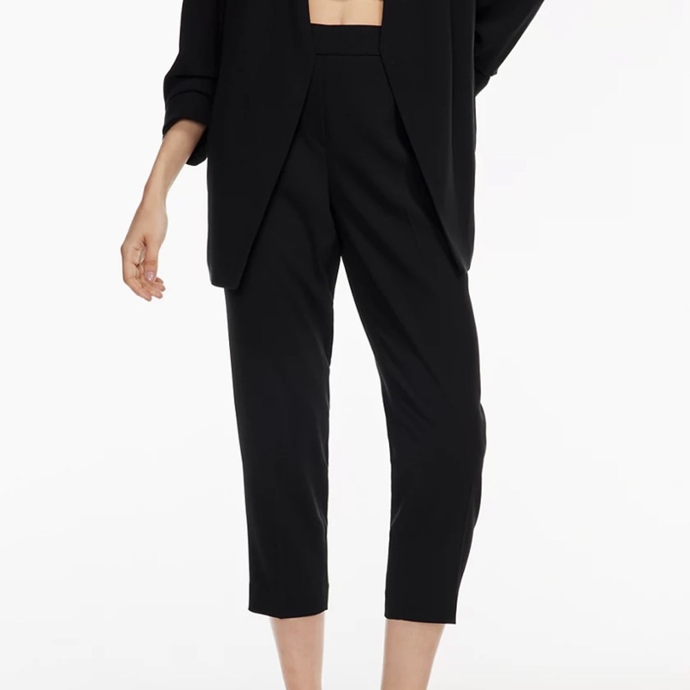 Aritzia Conan Pants (cropped)